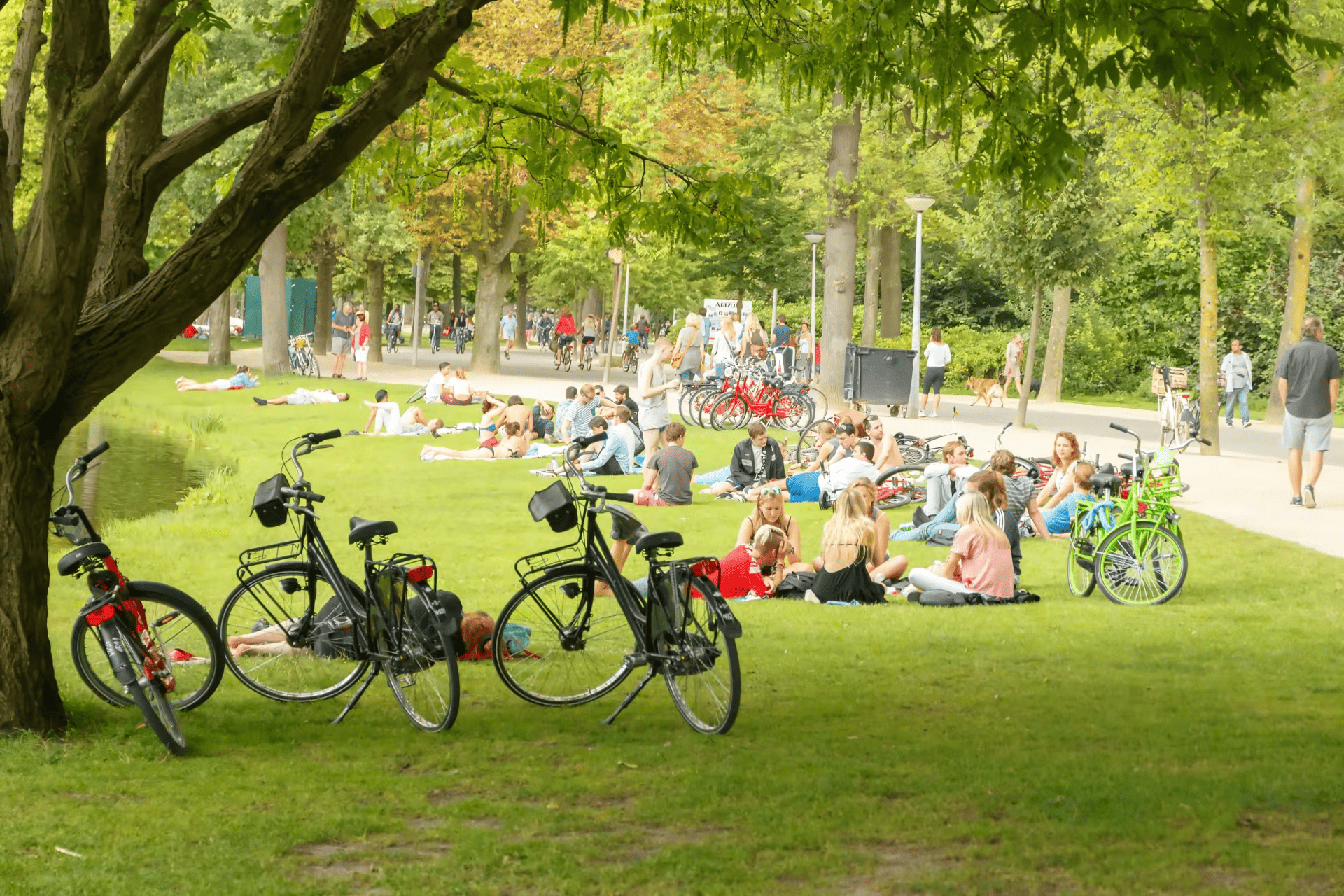 Vondelpark in Amsterdam
