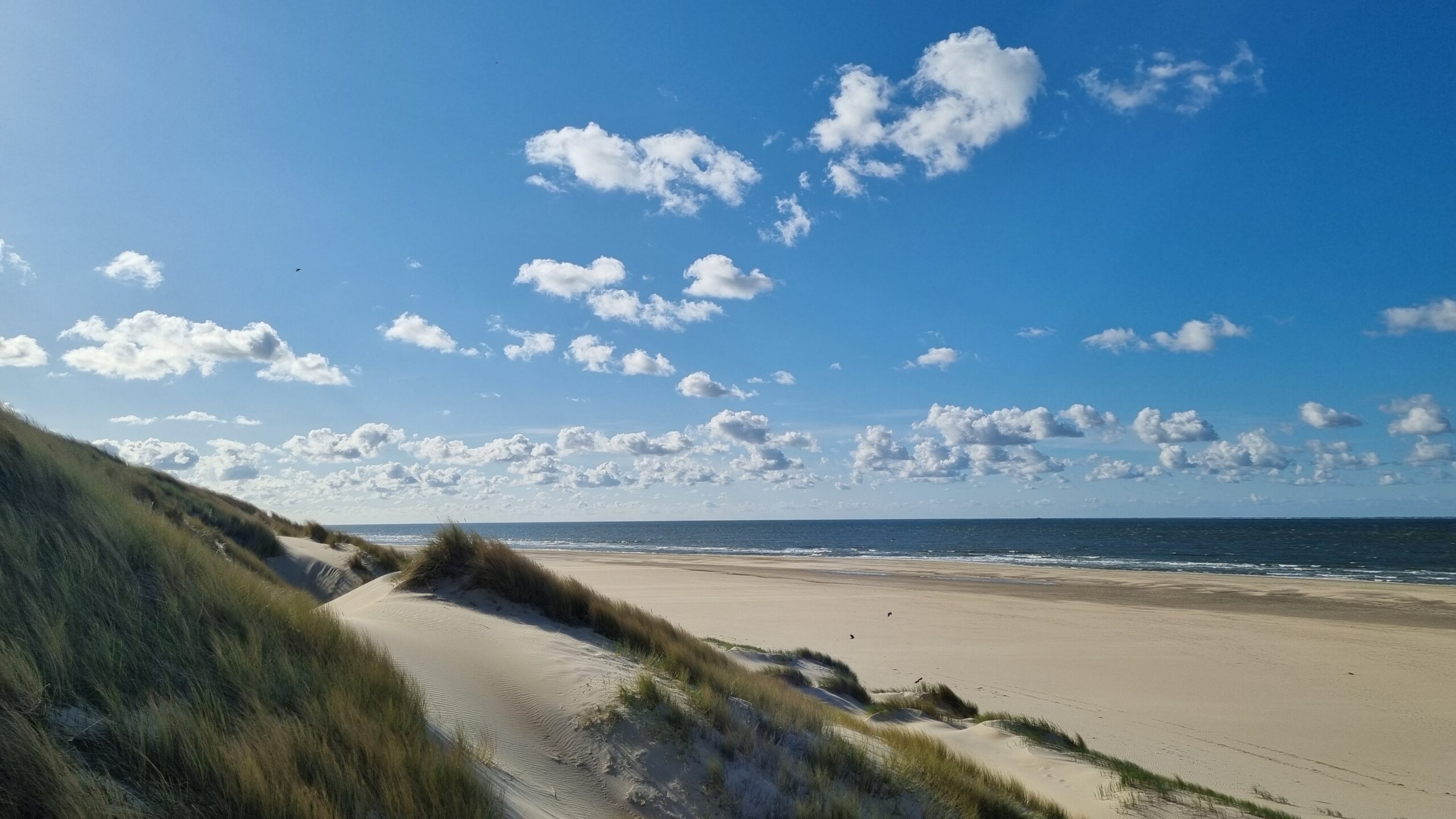 strand en duinen van Vlieland Vlieland, mogelijke bestemming tijdens je zeilreis op de Medusa
